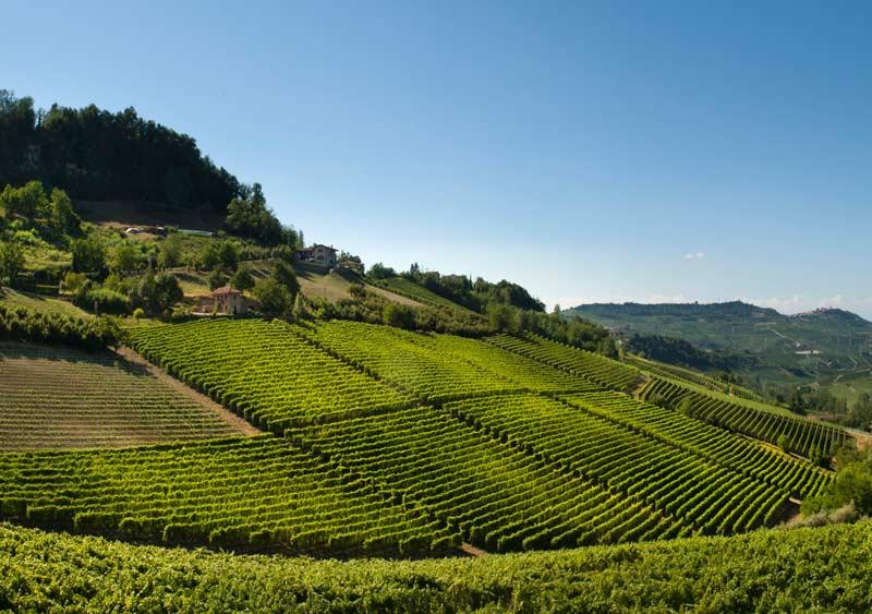 Pictures Giacosa Fratelli