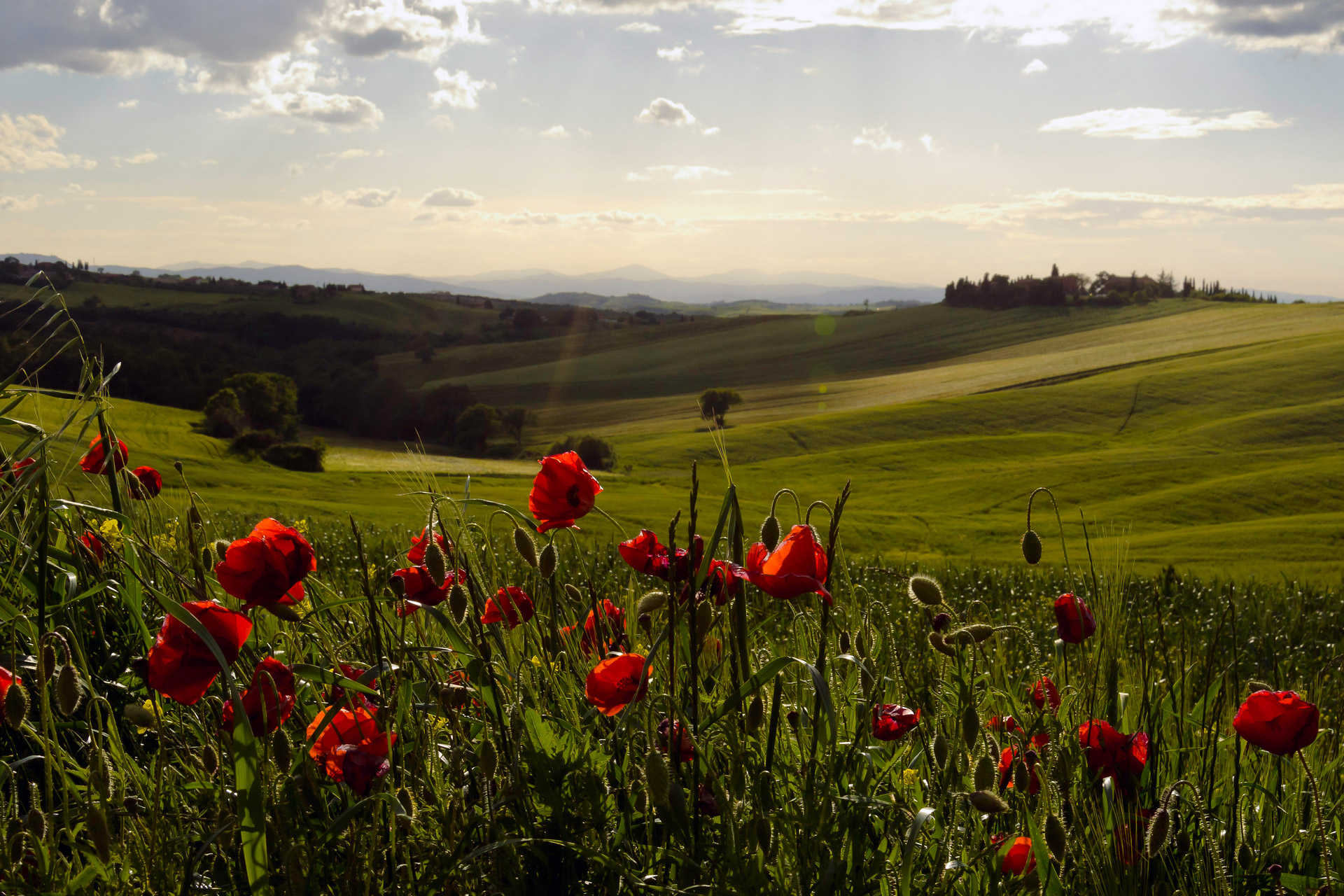 Open Tourism - Vacanze Accessibili